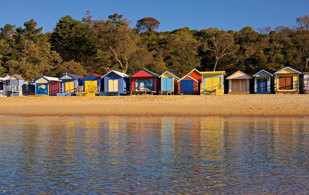 Bayplay Beach Cottage - Pet Friendly Queenscliff Camera foto